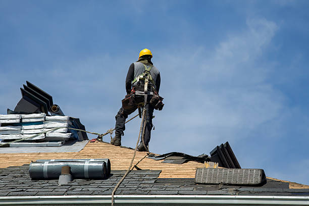Professional Roof Replacement technician working in Milan, MN